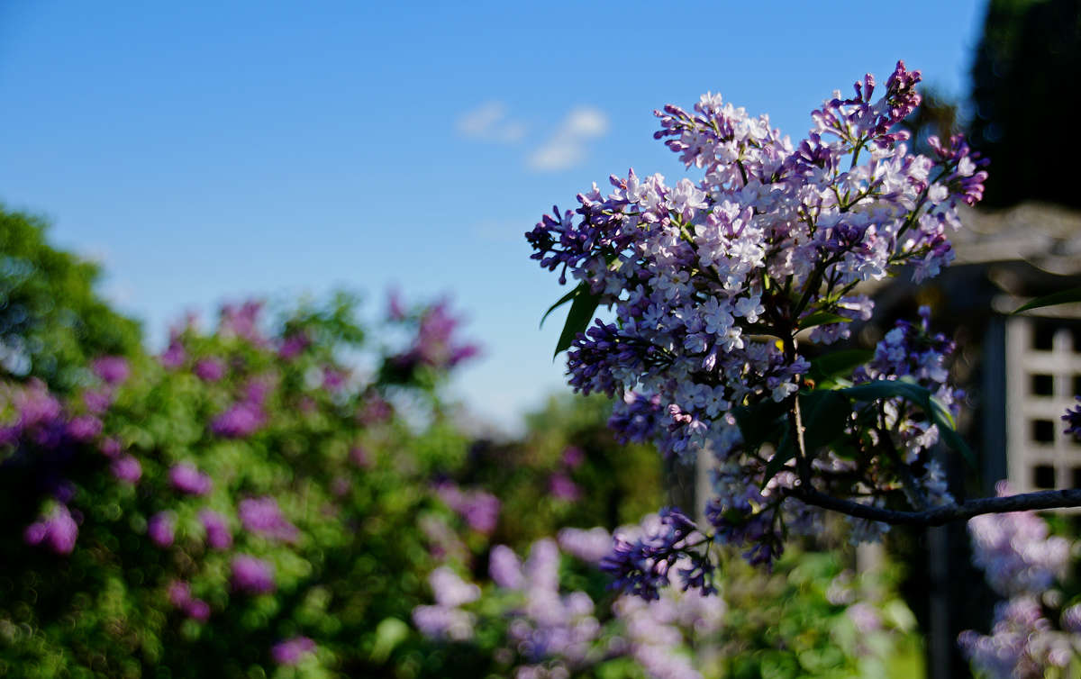 � ��� ���� ������ ����� �������  �� PhotoGeek.ru #������ ��� �������