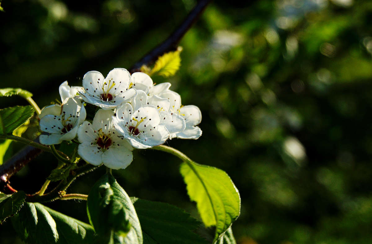 ������ �������� ����� �������  �� PhotoGeek.ru #������ ��� �������