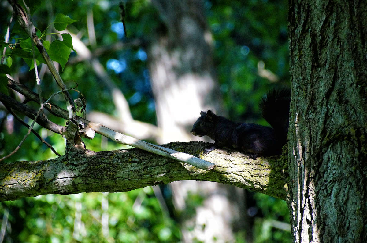 �������� �����... ����� �������  �� PhotoGeek.ru #�������� ���