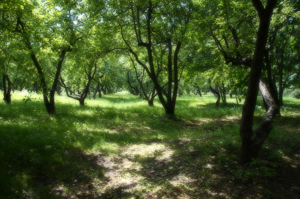 ��������� ����� �������  �� PhotoGeek.ru #������ ��� �������