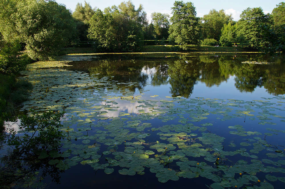 ������� ����� ����� �������  �� PhotoGeek.ru #������ ��� �������