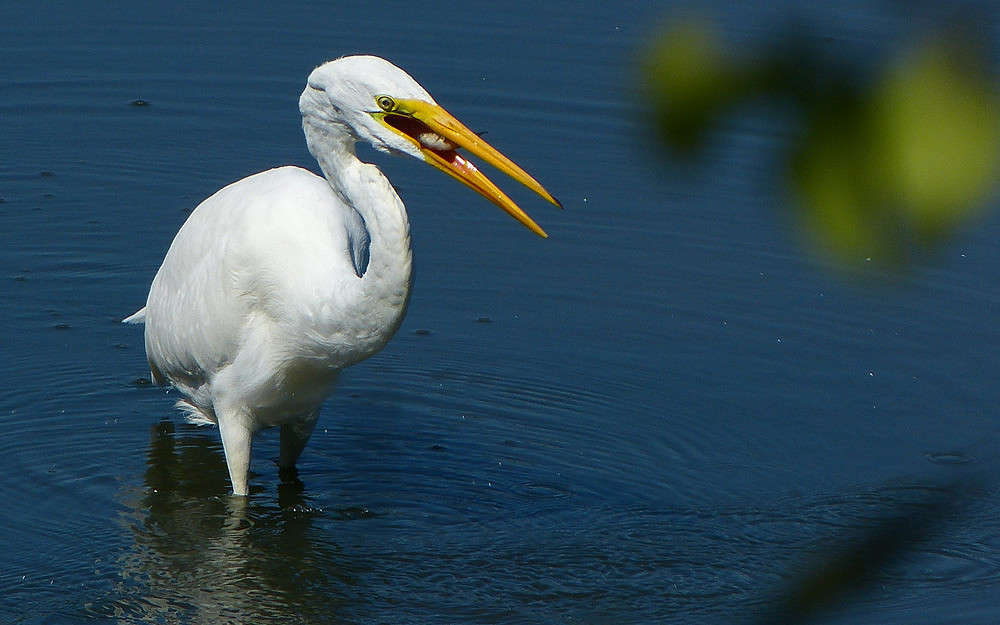 ���������� ����� �������  �� PhotoGeek.ru #�������� ���