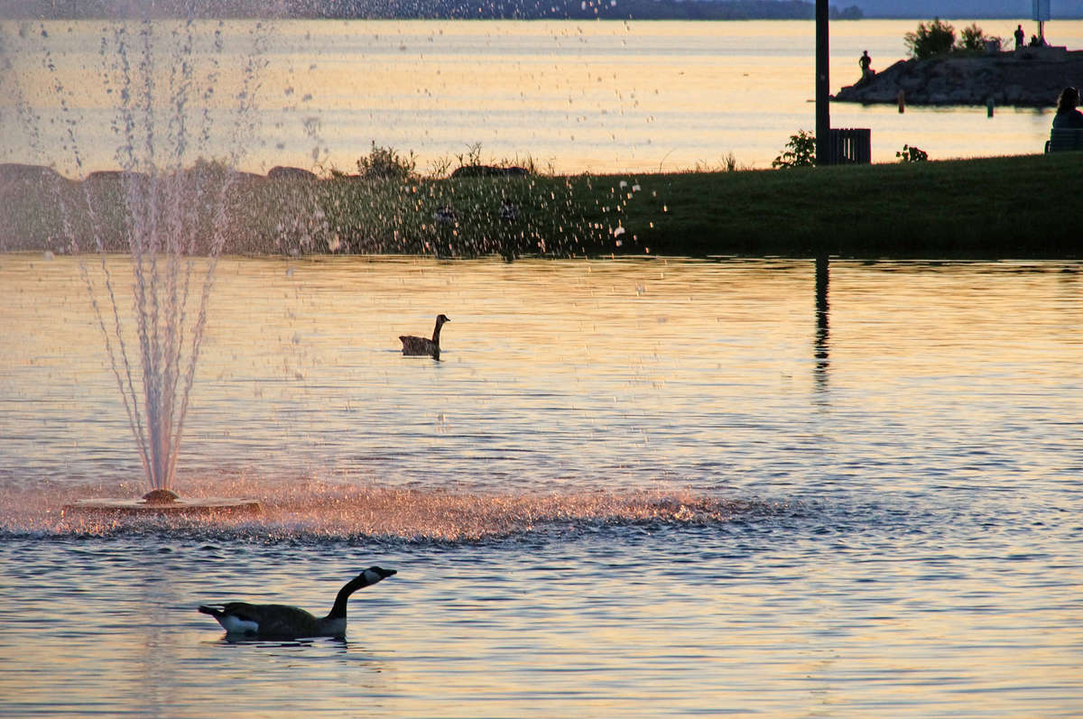 ��������� ��� ����� �������  �� PhotoGeek.ru #����� #�������� ��� #������ ��� �������