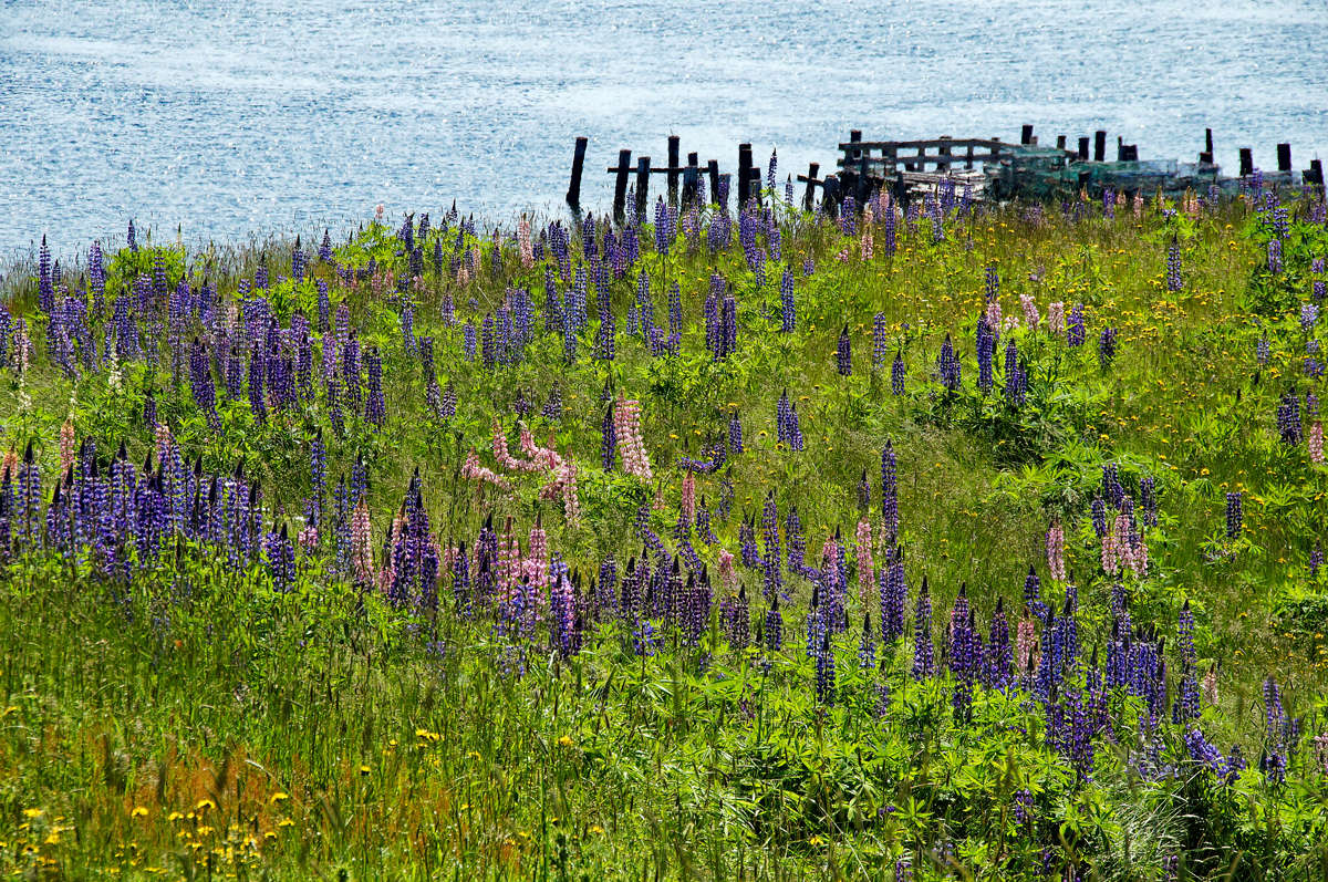 ������� ������� � ������� ����� �������  �� PhotoGeek.ru #������ ��� �������