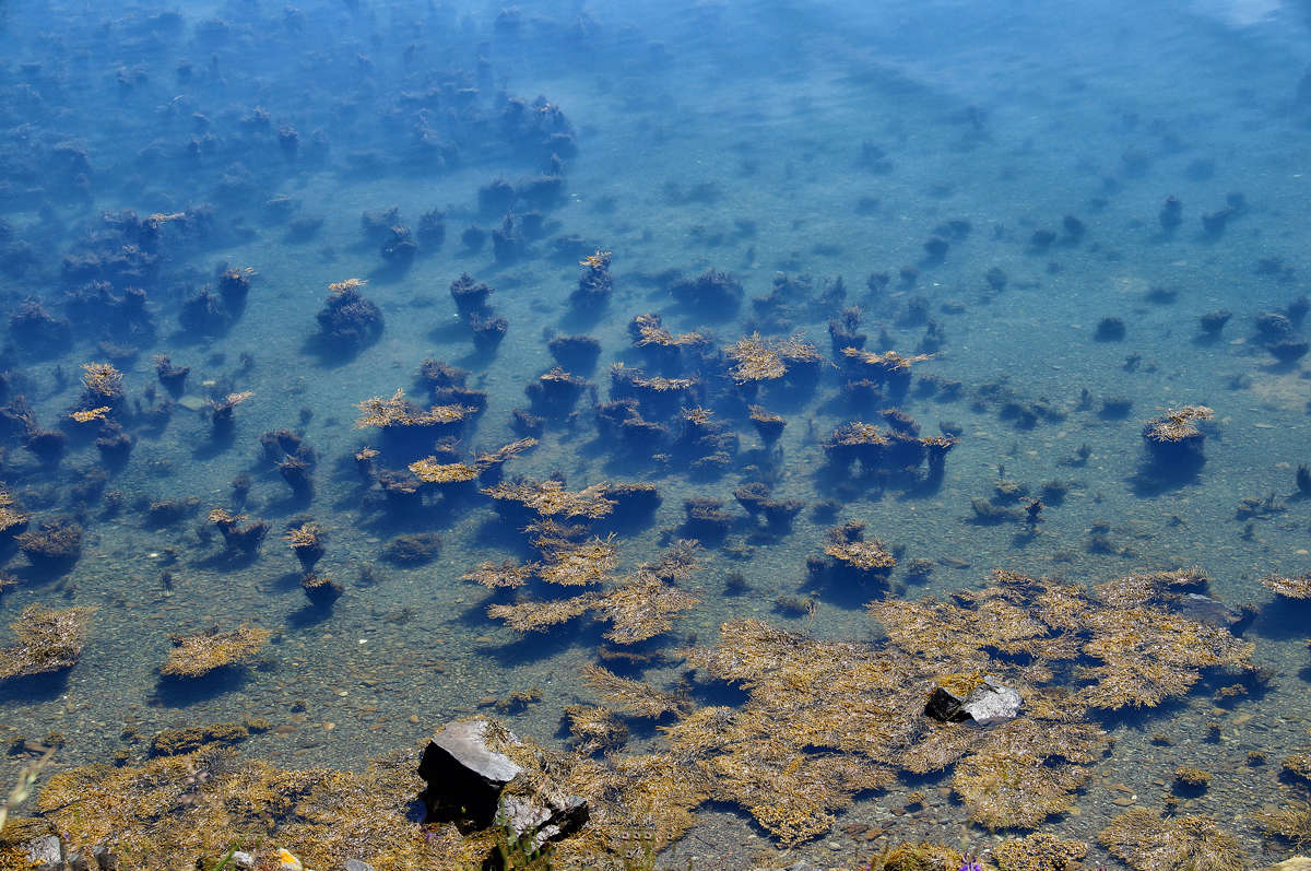 ��������� ��� ��� ���� ����� �������  �� PhotoGeek.ru #������ ��� �������