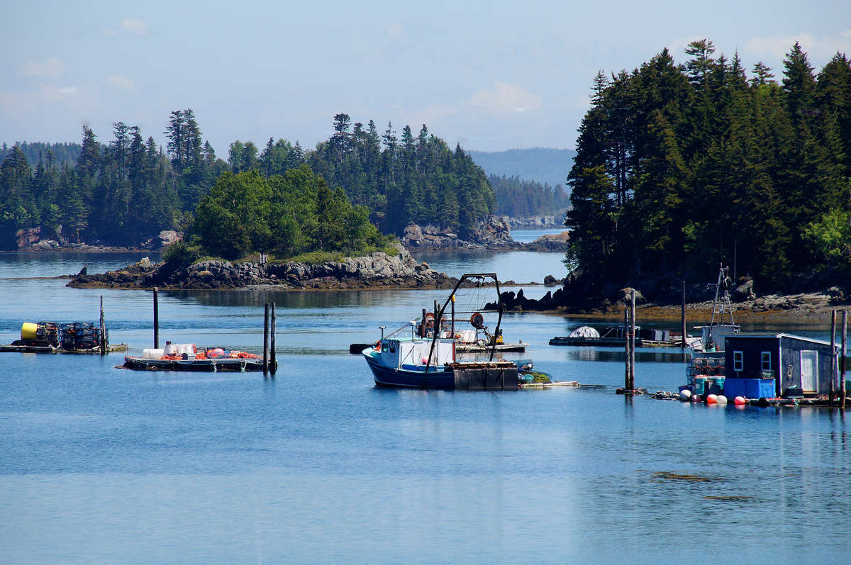 ����������� ������ ����� �������  �� PhotoGeek.ru #������ ��� �������