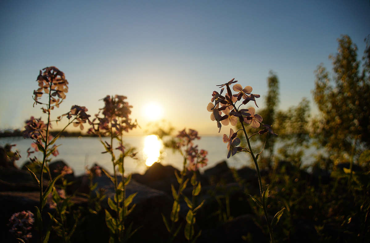 ��������������� ����� �������  �� PhotoGeek.ru #������ ��� �������