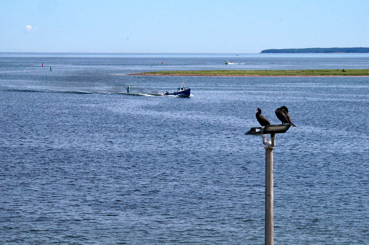 ���������� ���� ����� �������  �� PhotoGeek.ru #�������� ��� #������ ��� ������� #�������� ����������