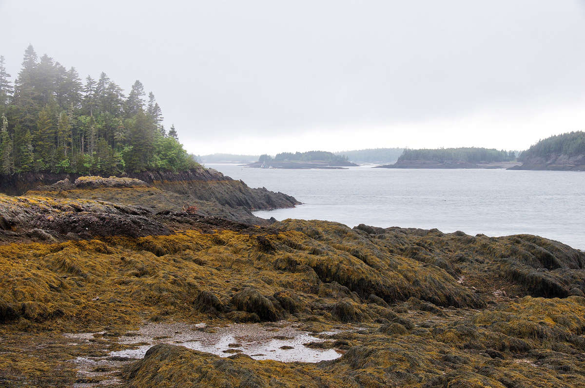 ����� �������� ����� �������  �� PhotoGeek.ru #������ ��� �������