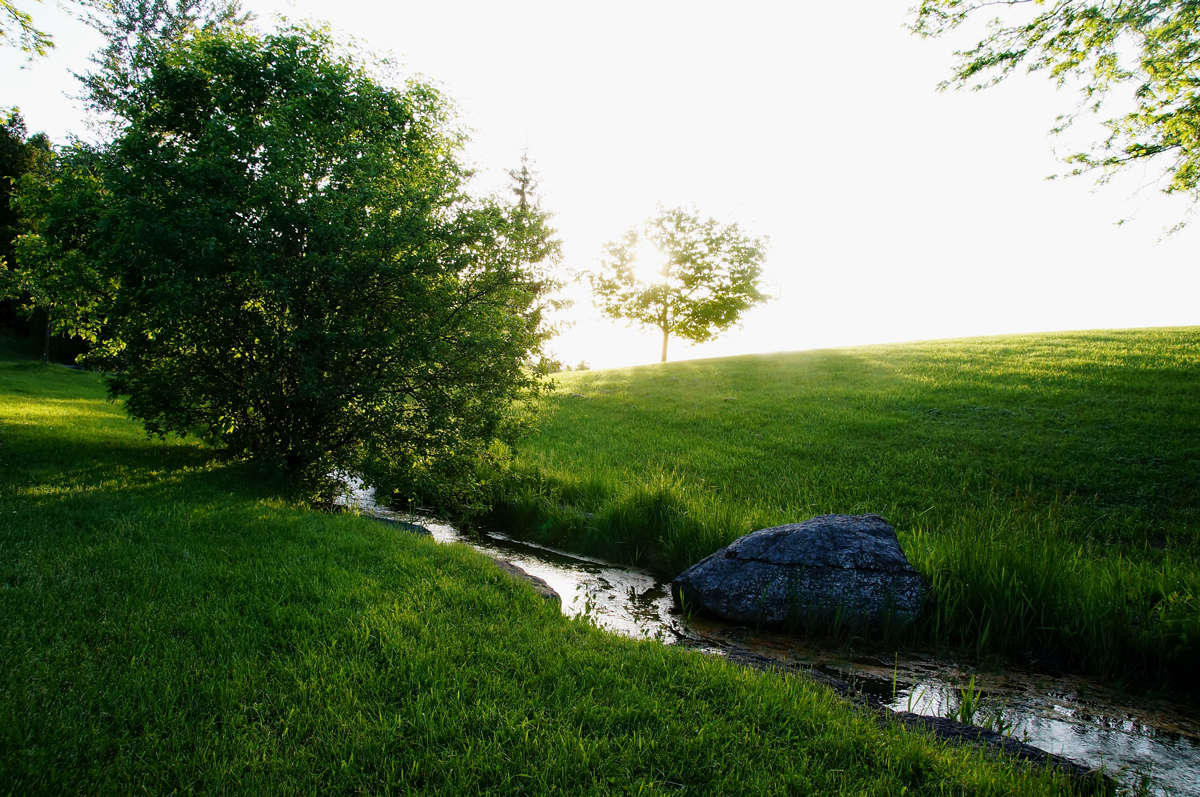 ���� � ����� ����� �������  �� PhotoGeek.ru #������ ��� �������