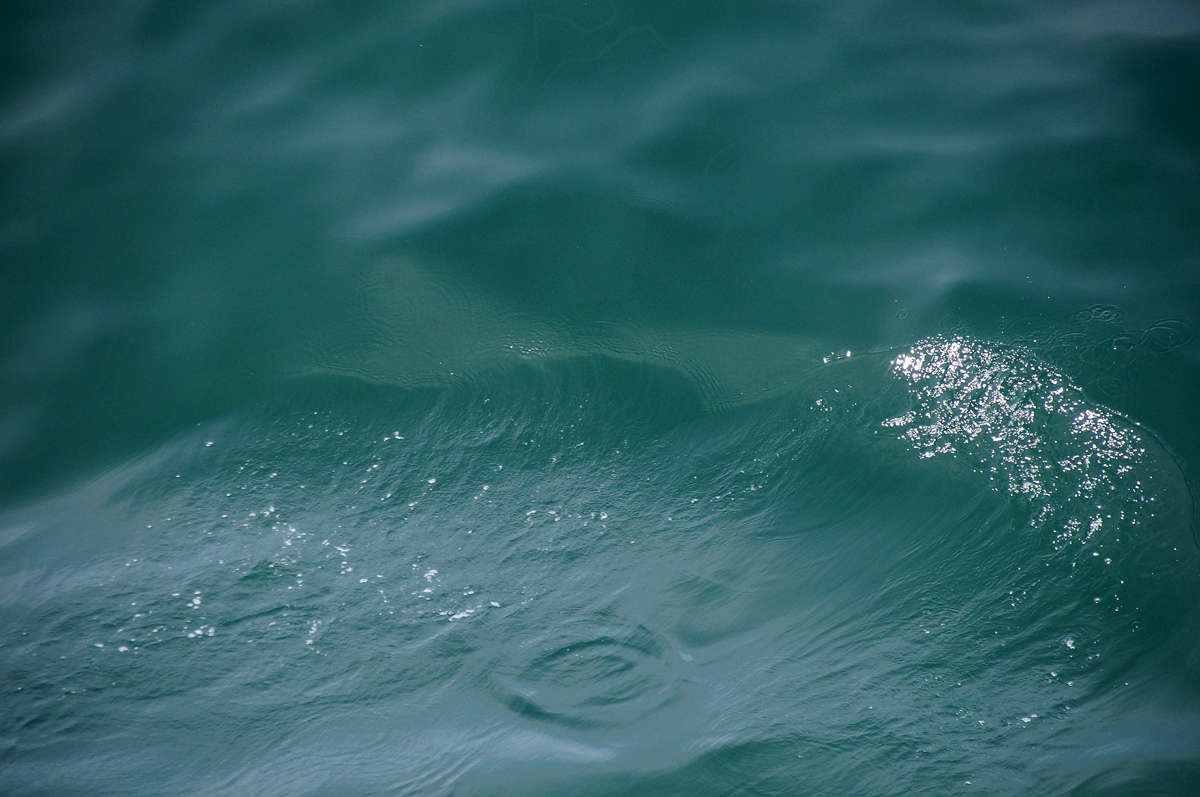 ��������� ������ ���� ����� �������  �� PhotoGeek.ru #������ ��� �������