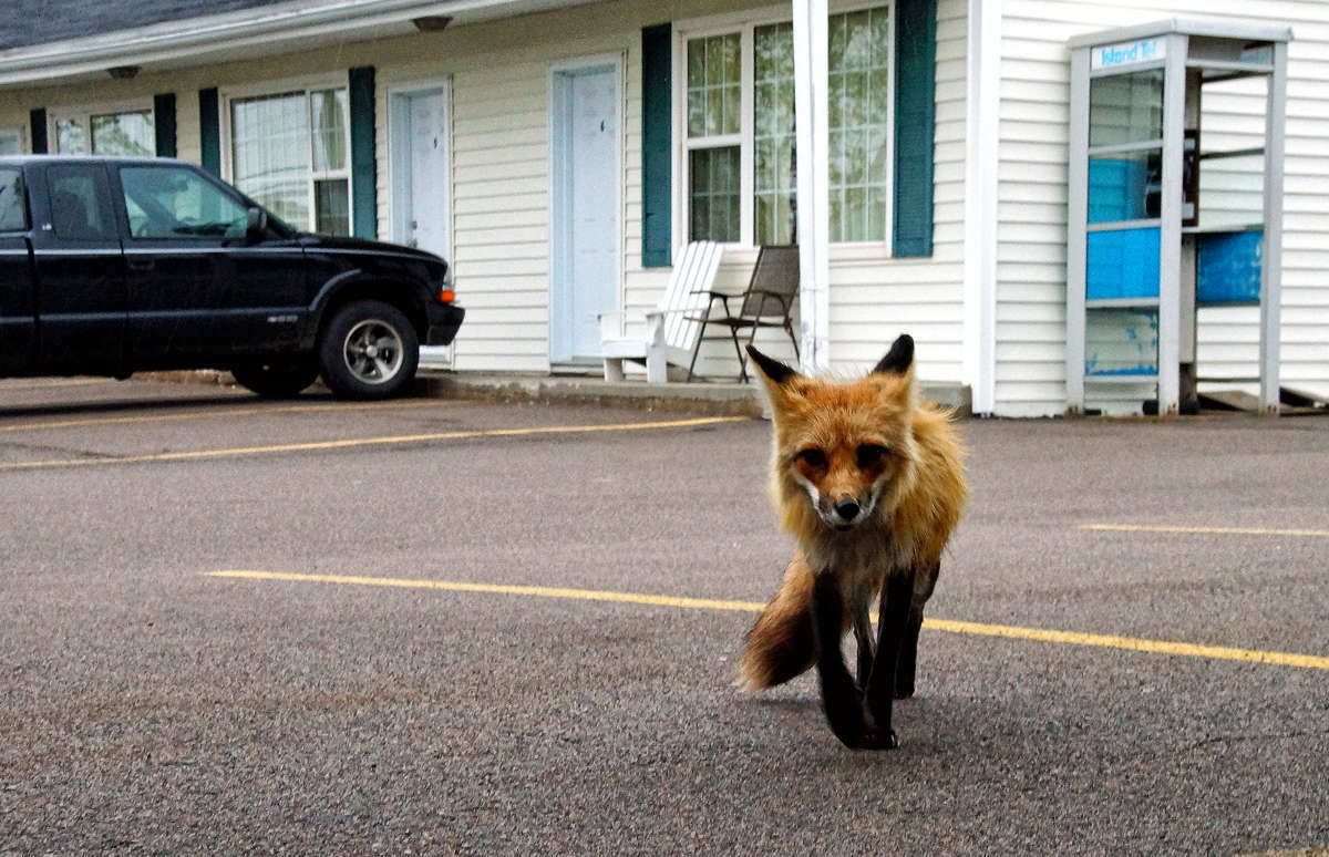 ��� ��� ����� �������  �� PhotoGeek.ru #����� #�������� ���