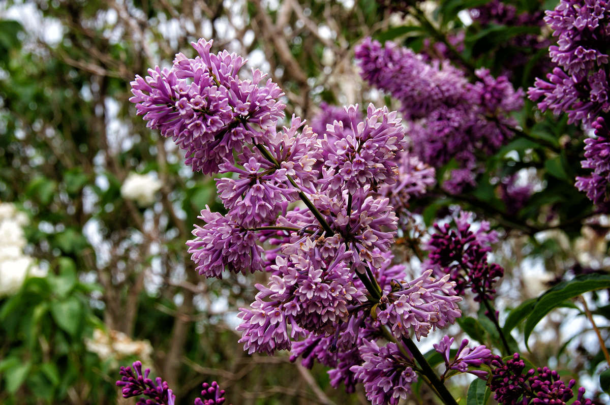 ������ � ����� ���� ����� �������  �� PhotoGeek.ru #������ ��� �������