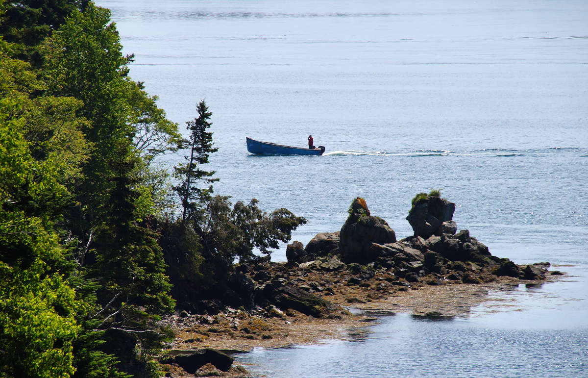 ������ ���� ����� �������  �� PhotoGeek.ru #������ ��� ������� #�������� ����������