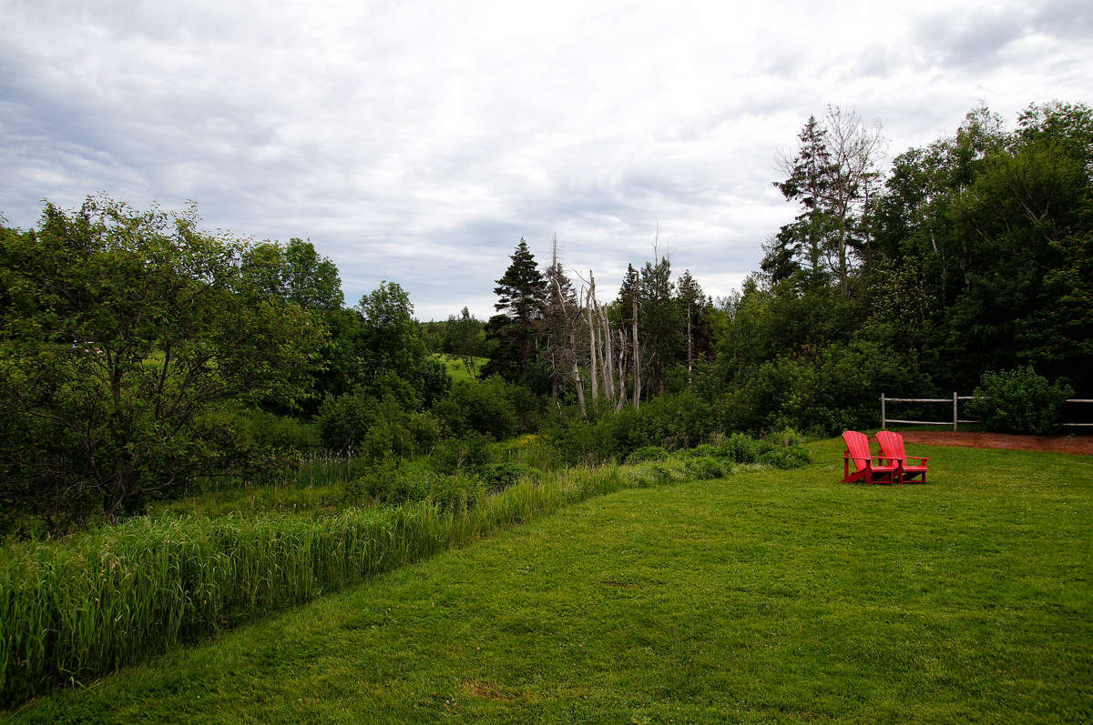 ��������� � ���� ����� ����� �������  �� PhotoGeek.ru #������ ��� ������� #�������� ����������