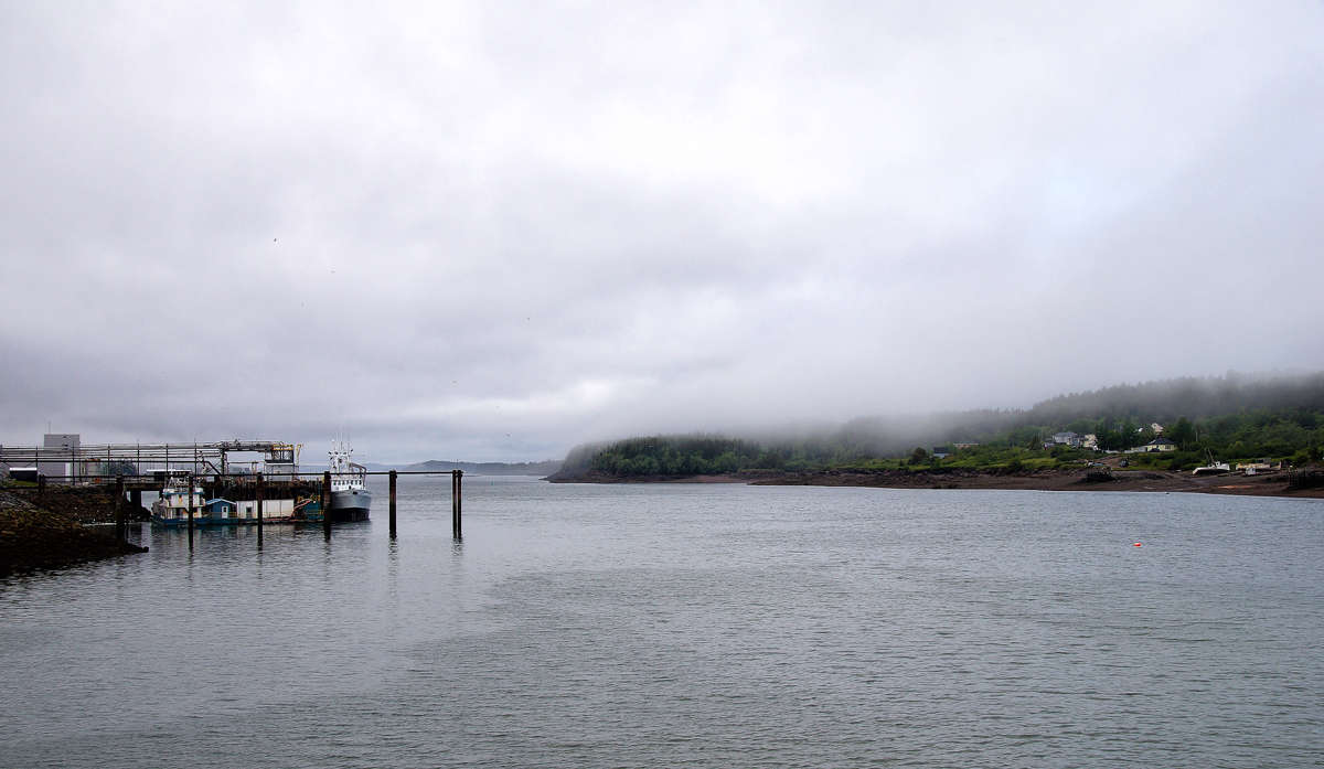 ����� �� ����� ����� ����� �������  �� PhotoGeek.ru #������ ��� �������