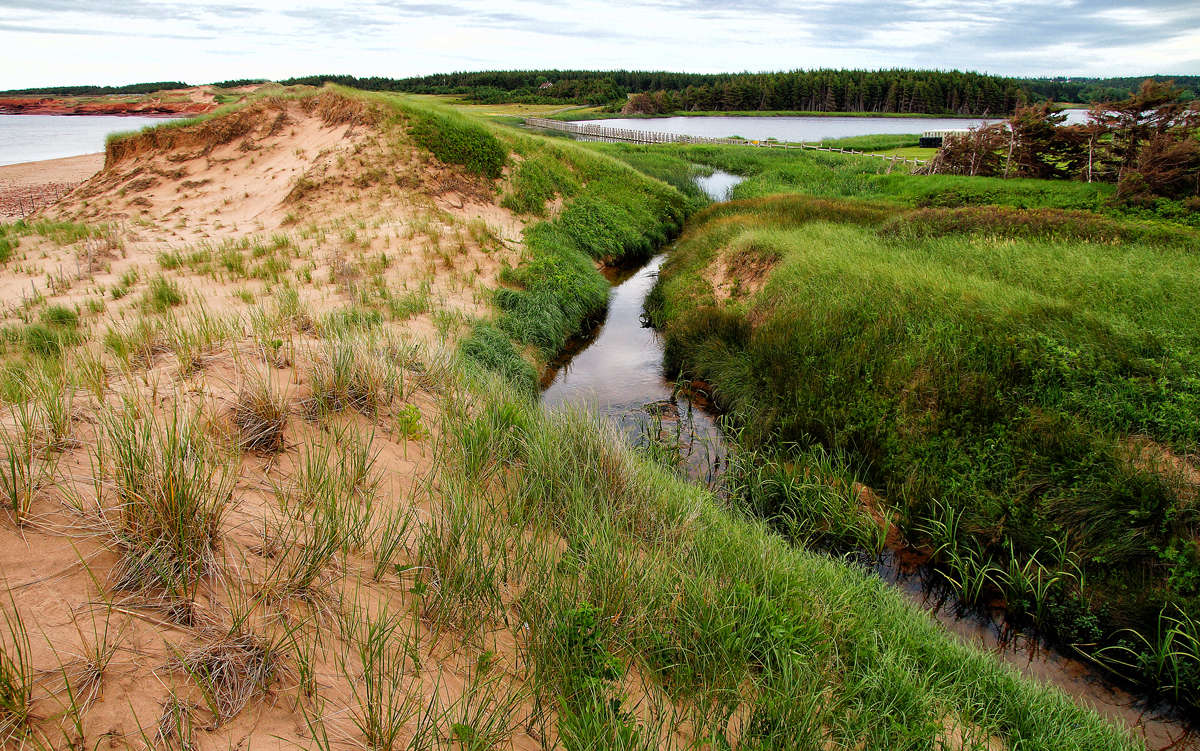 ��������� ���� ����� �������  �� PhotoGeek.ru #������ ��� �������