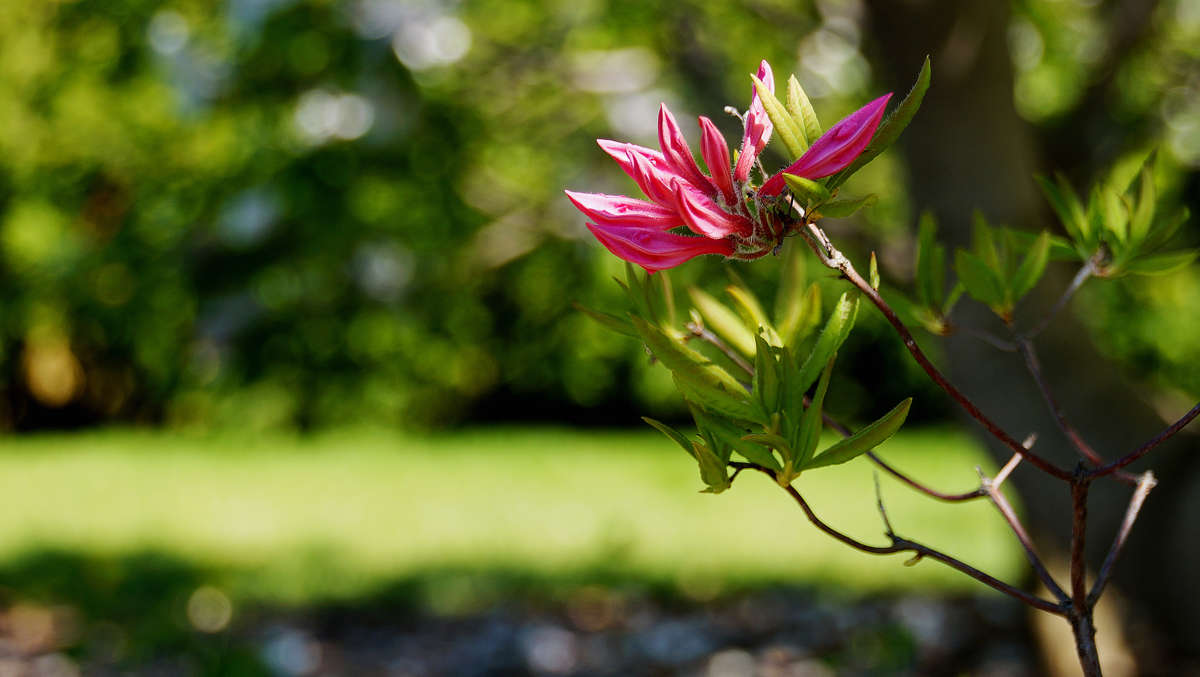 ������� �� �����... ����� �������  �� PhotoGeek.ru #������ ��� �������