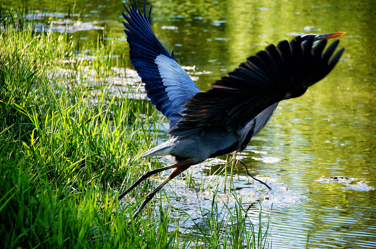 ������� ����! ����� �������  �� PhotoGeek.ru #�������� ���