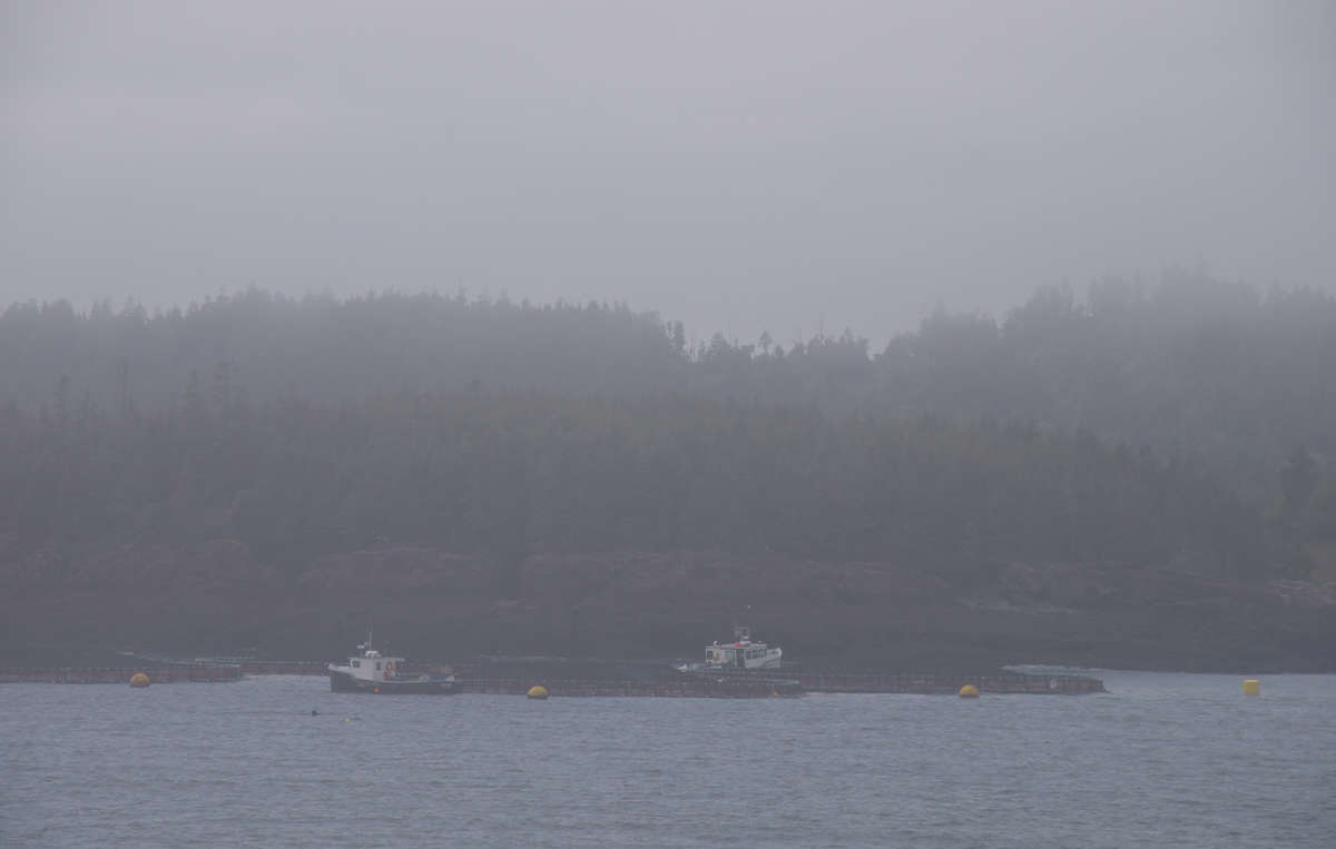 � �� �� ��� ������ �� ��������? ����� �������  �� PhotoGeek.ru #������ ��� ������� #�������� ����������