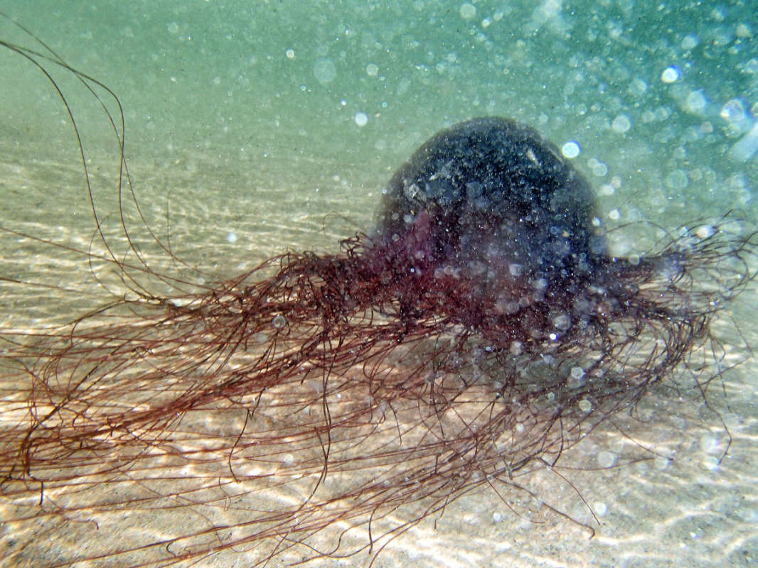 ������ ���������� ����� �������  �� PhotoGeek.ru #�������� ���