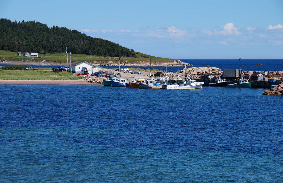 ���� ���� ��� ����� �������  �� PhotoGeek.ru #������ ��� ������� #�������� ����������