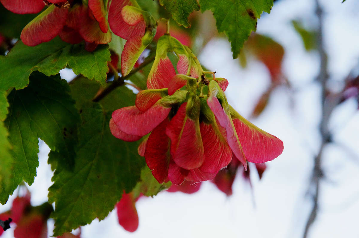 ������-���� ����� �������  �� PhotoGeek.ru #������ ��� �������