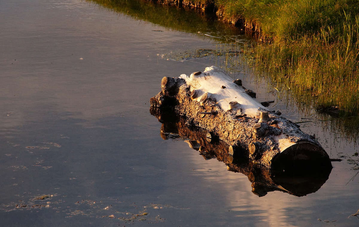 ������� ����� �������  �� PhotoGeek.ru #������ ��� �������