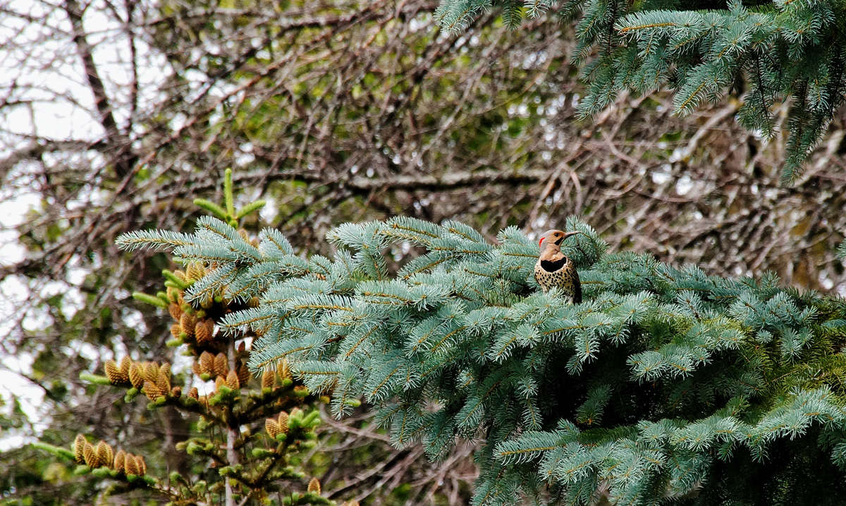 �������� ����� �������  �� PhotoGeek.ru #�������� ���