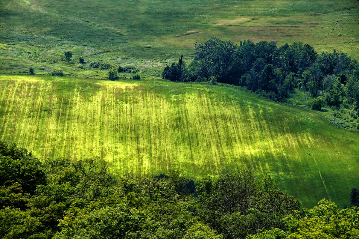 ������� ������ ������� ����� �������  �� PhotoGeek.ru #������ ��� �������