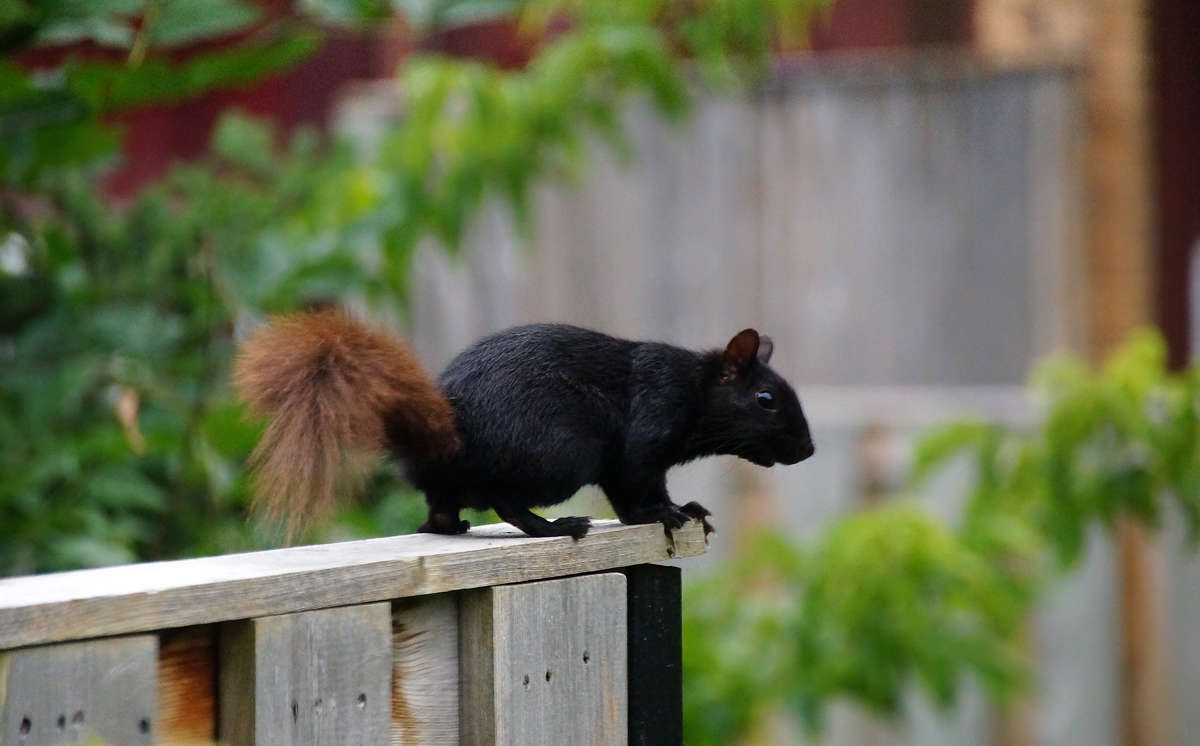 ������� ����� �������  �� PhotoGeek.ru #�������� ���