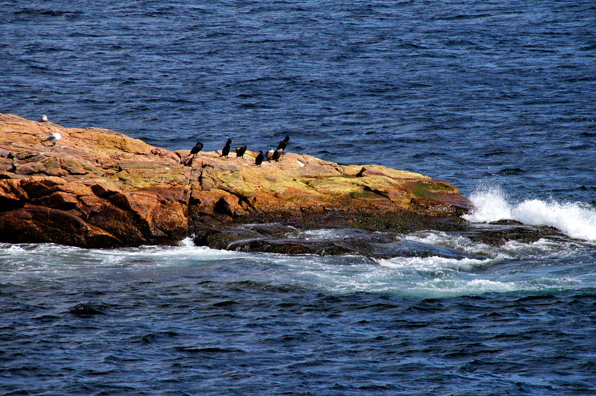 ��������� ����� ����� �������  �� PhotoGeek.ru #�������� ��� #������ ��� �������