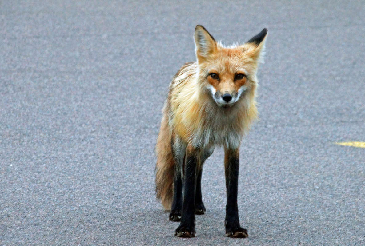 ��� �������� ����� �������  �� PhotoGeek.ru #����� #�������� ���