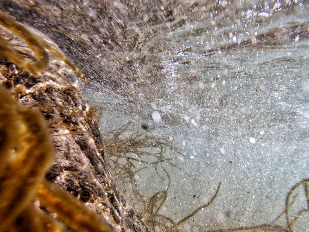 ������� �������� ���� ����� �������  �� PhotoGeek.ru #������ ��� �������