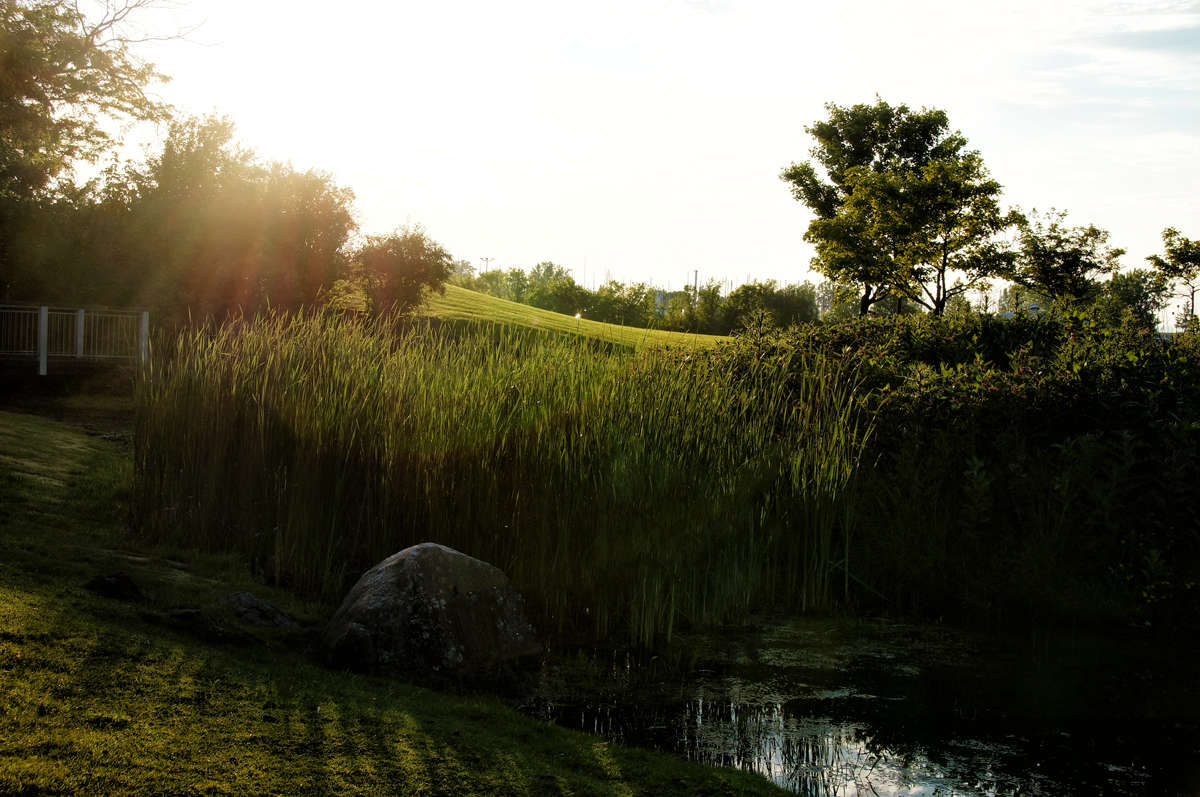 ����� ������ ��������� ����� ����� �������  �� PhotoGeek.ru #������ ��� �������