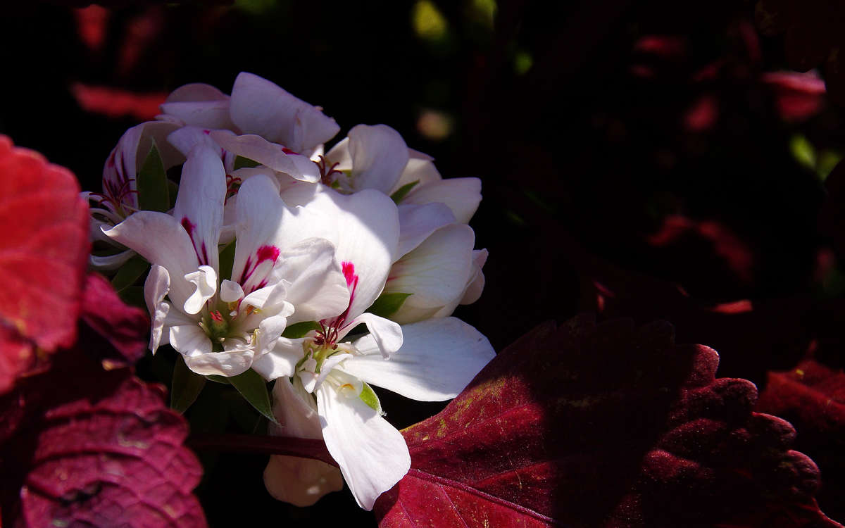 � ���������� ��������� ����� �������  �� PhotoGeek.ru #������ ��� �������