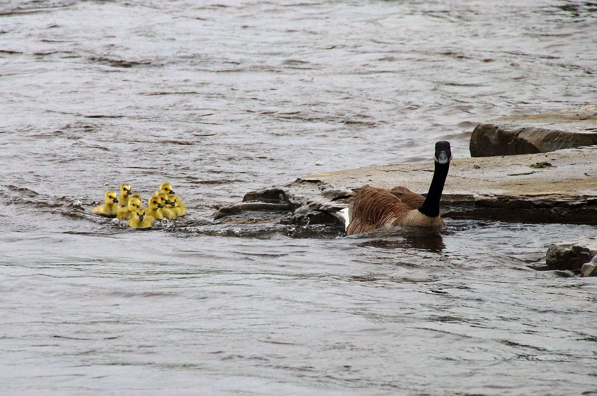 ���������� ����� �������  �� PhotoGeek.ru #�������� ���