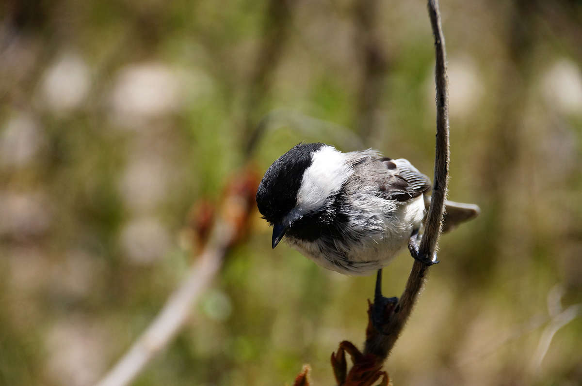 ������� ����� �������  �� PhotoGeek.ru #�������� ���