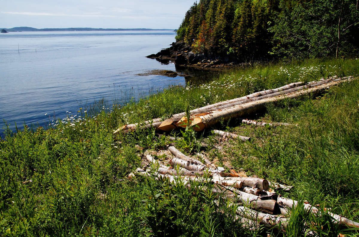 �� ��������� ����� �������  �� PhotoGeek.ru #������ ��� �������