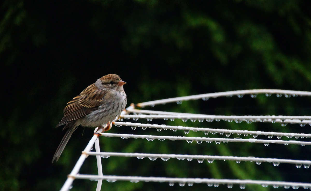 ���� ��� ����� ����� �������  �� PhotoGeek.ru #�������� ��� #������ ��� �������