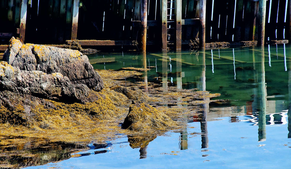 ������� ����� �������  �� PhotoGeek.ru #������ ��� �������