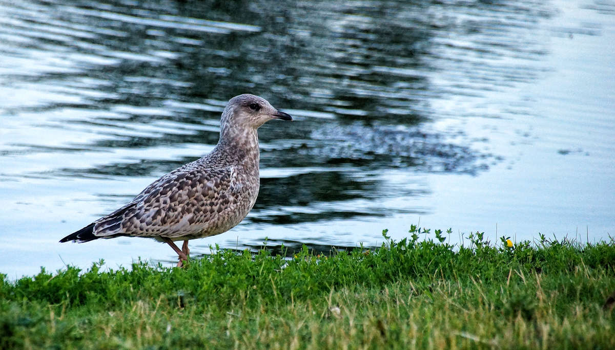 � �������� ����� �������  �� PhotoGeek.ru #�������� ���