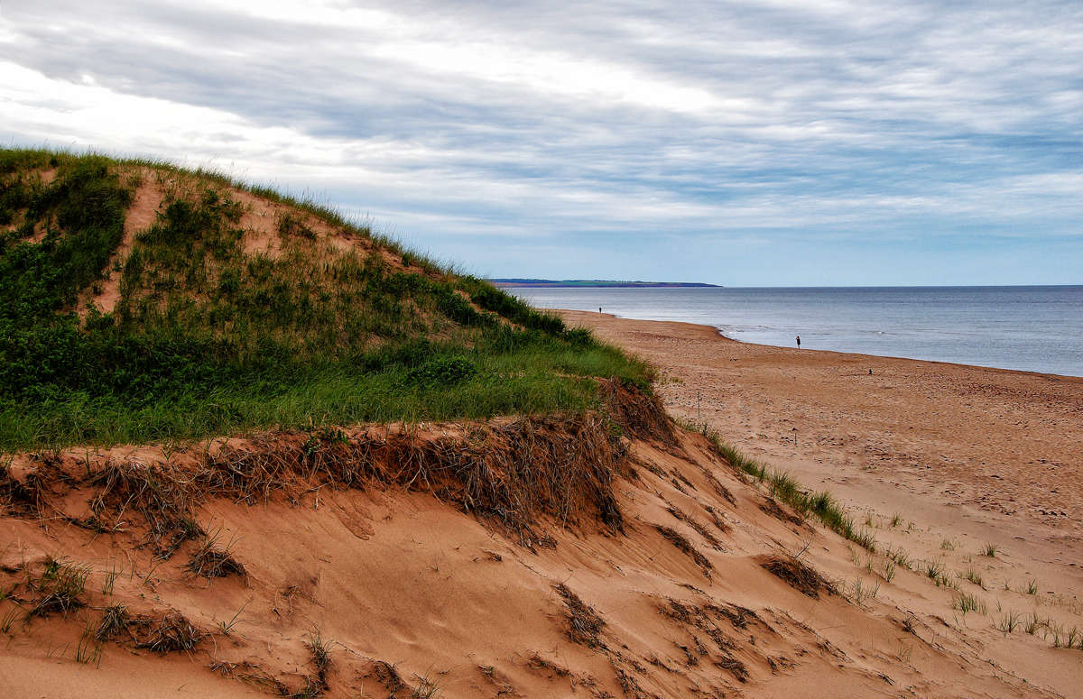 ����� ����� ������ ����� �������  �� PhotoGeek.ru #������ ��� �������