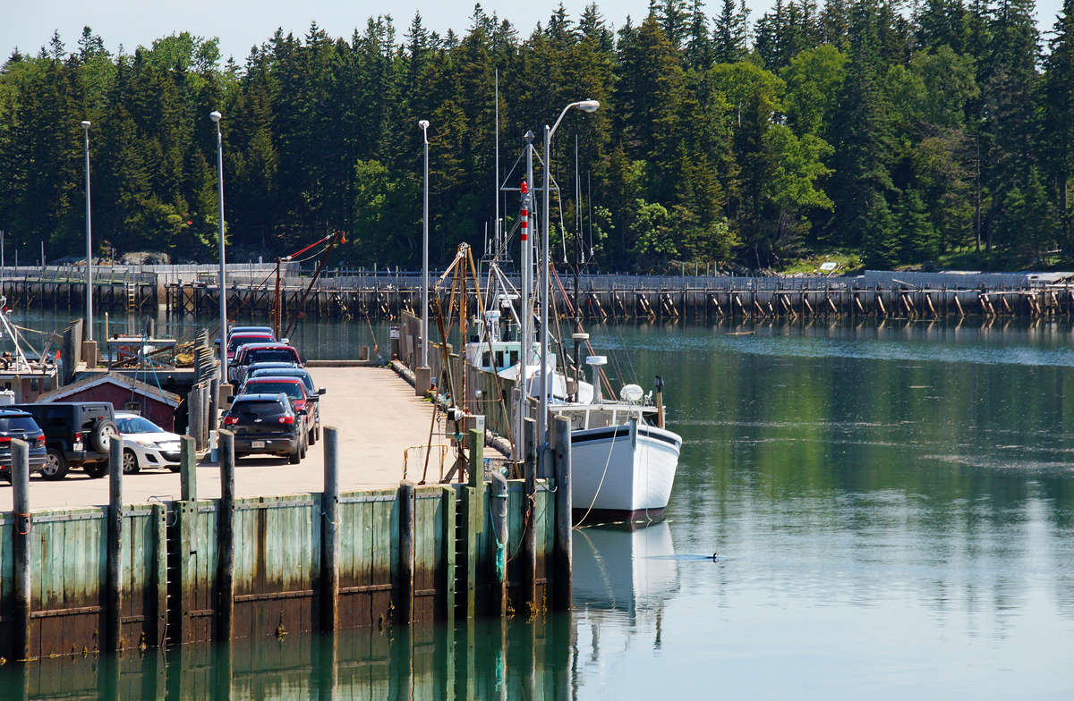 � ������� �� ��� ����� �������  �� PhotoGeek.ru #�������� ����������