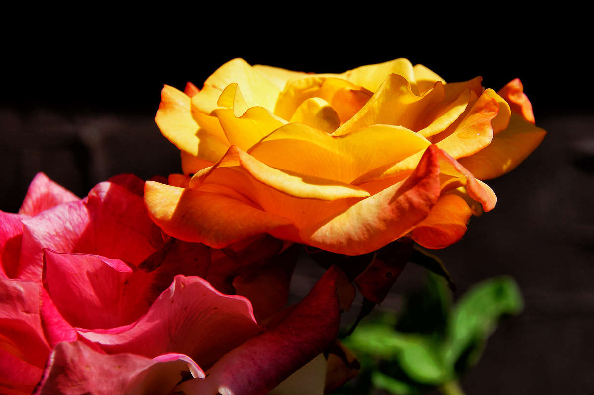 ���� ������ �������� ����� �������  �� PhotoGeek.ru #������ ��� �������