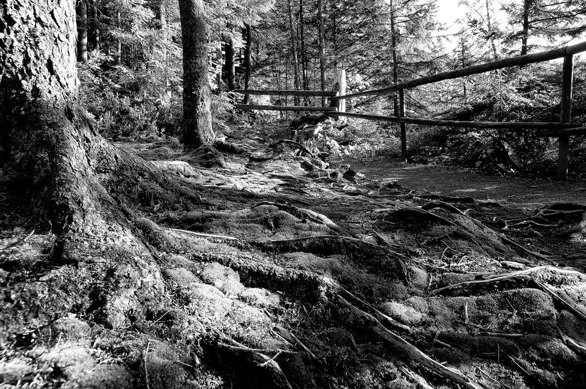 ������������� ����� �������  �� PhotoGeek.ru #������ ��� �������