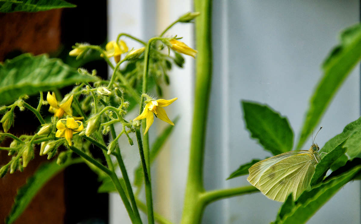 ���������� ��� �������� ������ ����� �������  �� PhotoGeek.ru #������ ��� �������