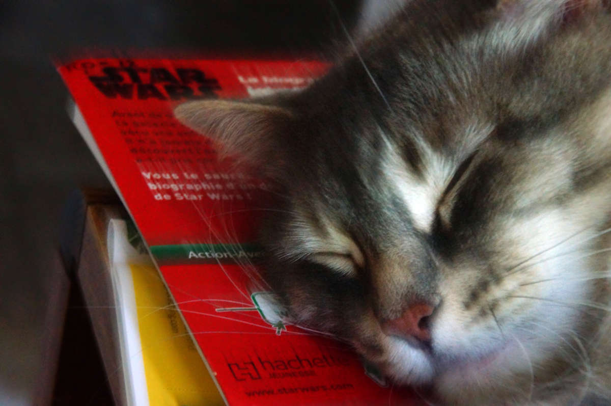 ���� ��� �����... ����� �������  �� PhotoGeek.ru #�������� ��� #�������� ����������