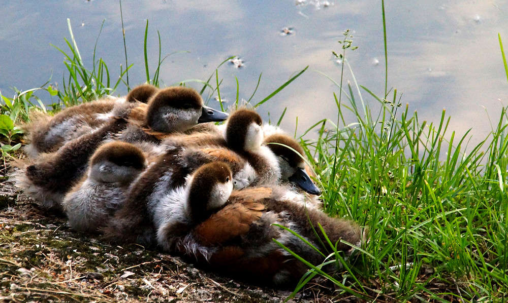 ������ ��������� ����� �������  �� PhotoGeek.ru #�������� ���