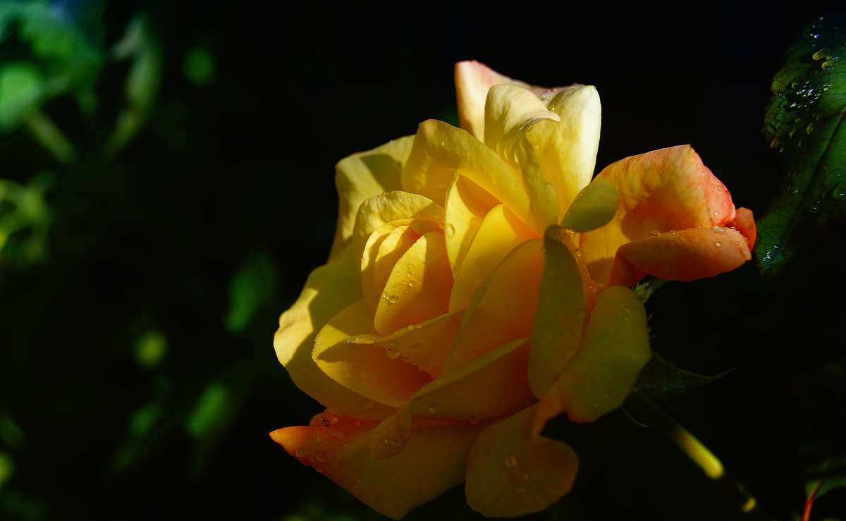 ��, ��� ���� ������ ����� �������  �� PhotoGeek.ru #������ ��� �������